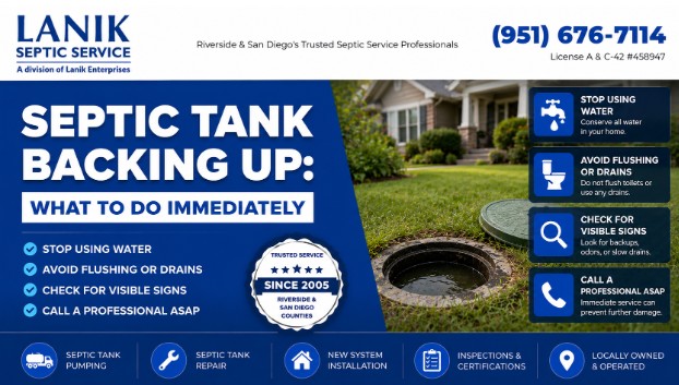 Septic Tank Backing Up: What to Do Immediately